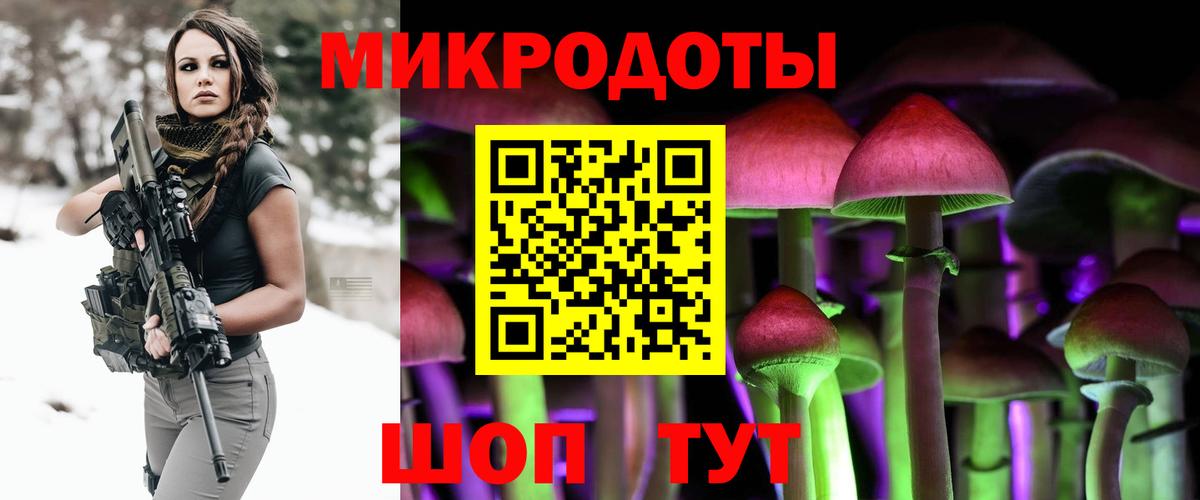 Галлюциногенные грибы мухоморы  Вход с VPN  где можно купить   Северобайкальск  Галлюциногенные грибы мицелий 