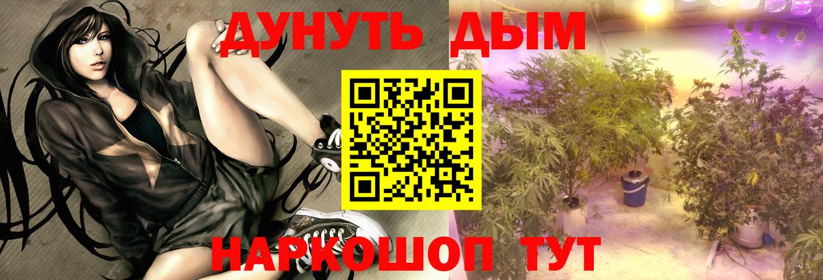 МАРИХУАНА Bruce Banner  Вход с VPN  Бошки марихуана SATIVA & INDICA  Шишки марихуана MAZAR  Северобайкальск 